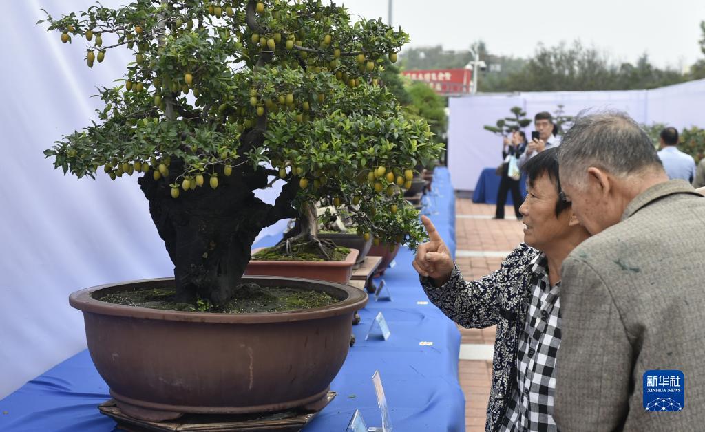 澳门一号赌场